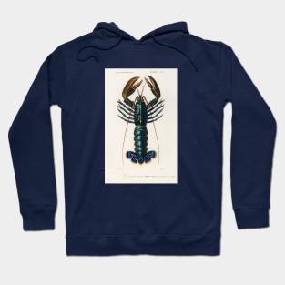 Crimson Crawfish Hoodie